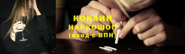 дживик Белокуриха
