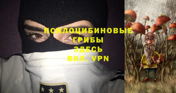 дживик Белокуриха