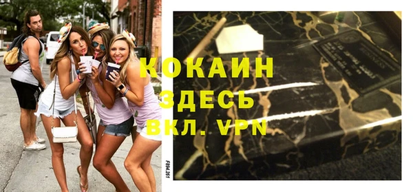 дживик Белокуриха