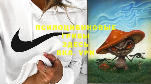 дживик Белокуриха