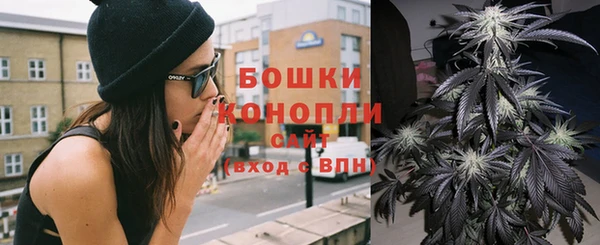 дживик Белокуриха
