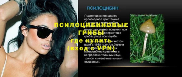 прущие крисы Беломорск