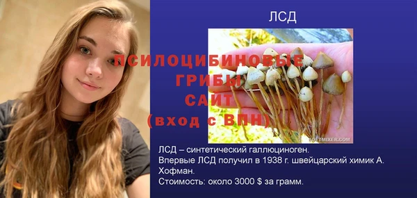 дживик Белокуриха