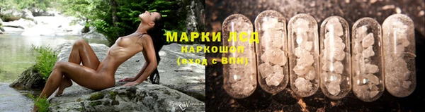 дживик Белокуриха